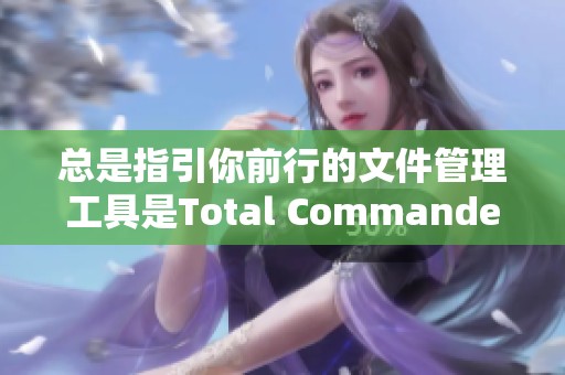 总是指引你前行的文件管理工具是Total Commander