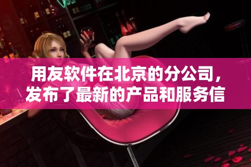 用友软件在北京的分公司，发布了最新的产品和服务信息。