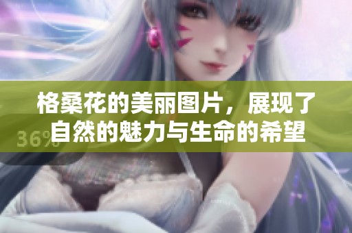 格桑花的美丽图片，展现了自然的魅力与生命的希望