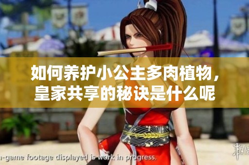 如何养护小公主多肉植物，皇家共享的秘诀是什么呢