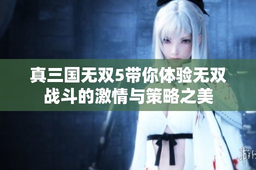 真三国无双5带你体验无双战斗的激情与策略之美