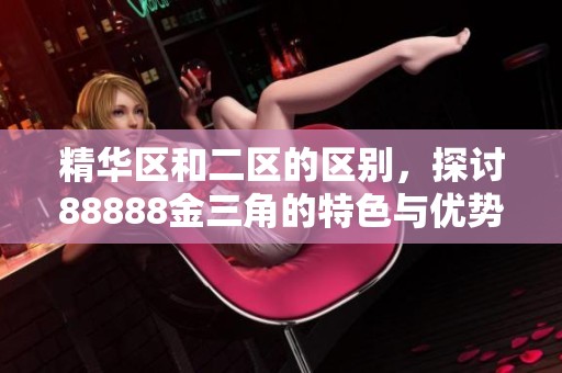 精华区和二区的区别，探讨88888金三角的特色与优势