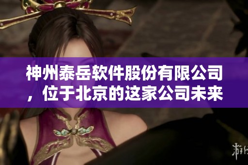 神州泰岳软件股份有限公司，位于北京的这家公司未来发展前景广阔。