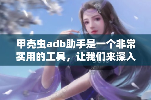 甲壳虫adb助手是一个非常实用的工具，让我们来深入了解一下它的功能。