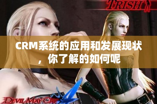 CRM系统的应用和发展现状，你了解的如何呢