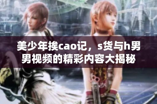 美少年挨cao记，s货与h男男视频的精彩内容大揭秘