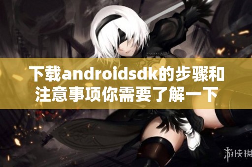 下载androidsdk的步骤和注意事项你需要了解一下