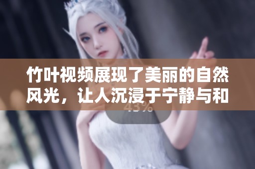 竹叶视频展现了美丽的自然风光，让人沉浸于宁静与和谐的境界