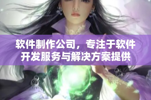 软件制作公司，专注于软件开发服务与解决方案提供
