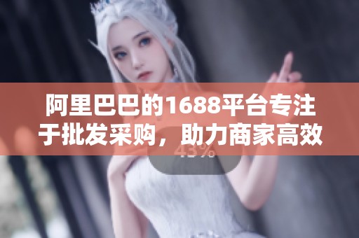 阿里巴巴的1688平台专注于批发采购，助力商家高效交易与发展