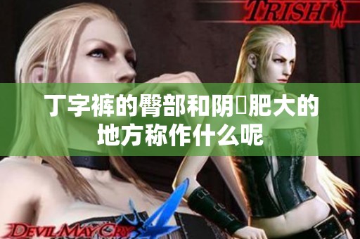 丁字裤的臀部和阴脣肥大的地方称作什么呢
