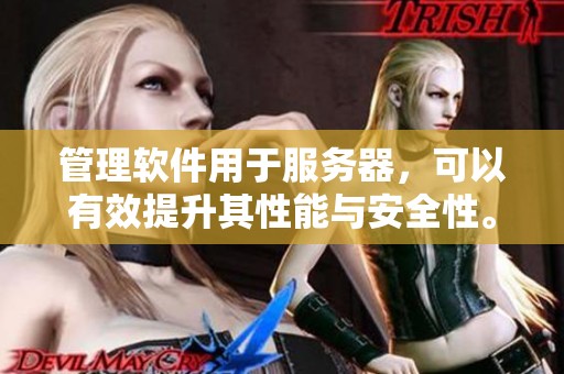 管理软件用于服务器，可以有效提升其性能与安全性。