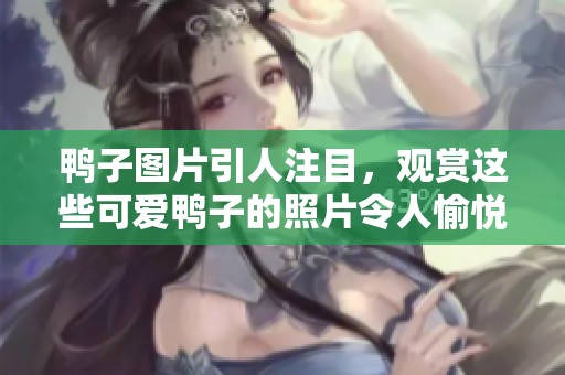 鸭子图片引人注目，观赏这些可爱鸭子的照片令人愉悦