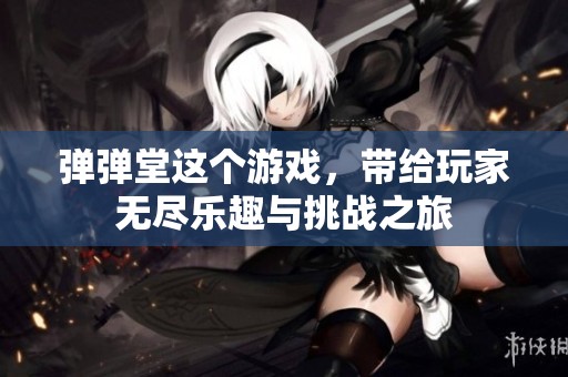弹弹堂这个游戏，带给玩家无尽乐趣与挑战之旅