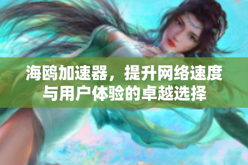 海鸥加速器，提升网络速度与用户体验的卓越选择