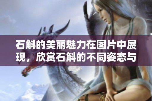 石斛的美丽魅力在图片中展现，欣赏石斛的不同姿态与风采