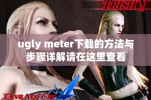 ugly meter下载的方法与步骤详解请在这里查看