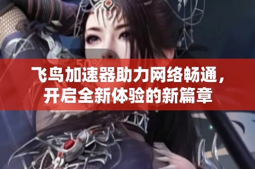 飞鸟加速器助力网络畅通，开启全新体验的新篇章