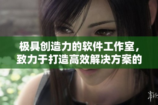 极具创造力的软件工作室，致力于打造高效解决方案的团队