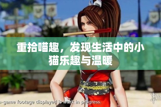 重拾喵趣，发现生活中的小猫乐趣与温暖