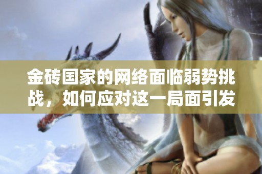 金砖国家的网络面临弱势挑战，如何应对这一局面引发关注