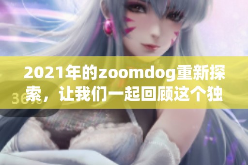 2021年的zoomdog重新探索，让我们一起回顾这个独特的狗狗世界