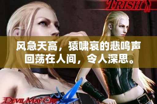 风急天高，猿啸哀的悲鸣声回荡在人间，令人深思。