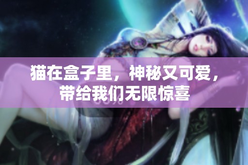 猫在盒子里，神秘又可爱，带给我们无限惊喜