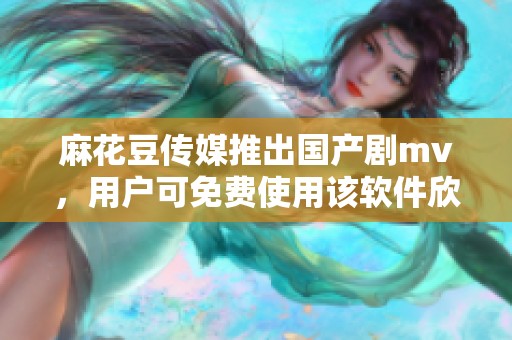 麻花豆传媒推出国产剧mv，用户可免费使用该软件欣赏精彩内容！