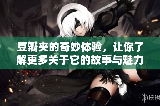 豆瓣夹的奇妙体验，让你了解更多关于它的故事与魅力