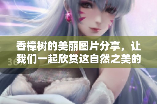 香樟树的美丽图片分享，让我们一起欣赏这自然之美的魅力吧