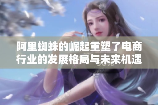 阿里蜘蛛的崛起重塑了电商行业的发展格局与未来机遇
