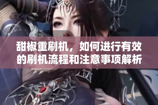 甜椒重刷机，如何进行有效的刷机流程和注意事项解析