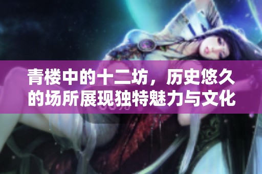 青楼中的十二坊，历史悠久的场所展现独特魅力与文化