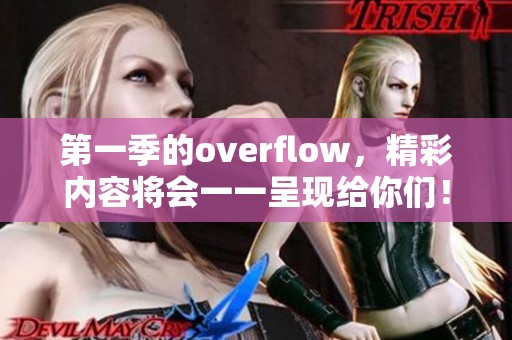 第一季的overflow，精彩内容将会一一呈现给你们！