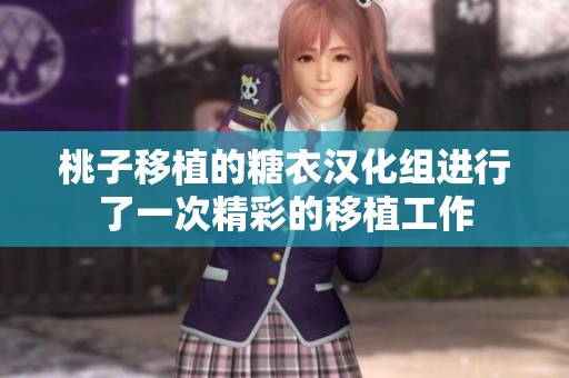 桃子移植的糖衣汉化组进行了一次精彩的移植工作
