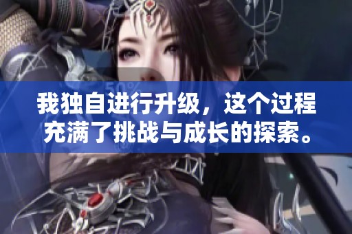 我独自进行升级，这个过程充满了挑战与成长的探索。