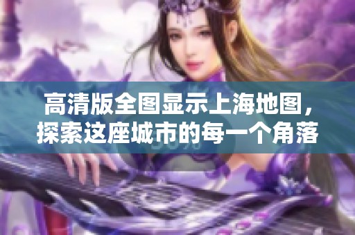 高清版全图显示上海地图，探索这座城市的每一个角落