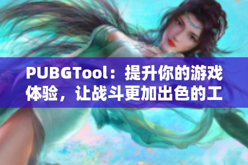 PUBGTool：提升你的游戏体验，让战斗更加出色的工具介绍