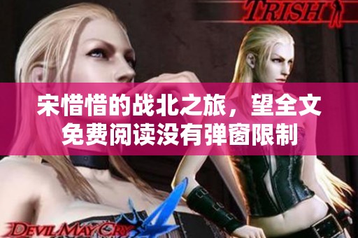 宋惜惜的战北之旅，望全文免费阅读没有弹窗限制