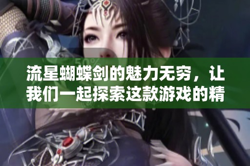 流星蝴蝶剑的魅力无穷，让我们一起探索这款游戏的精彩世界