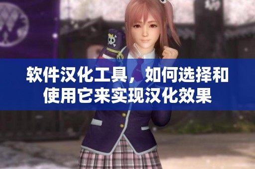 软件汉化工具，如何选择和使用它来实现汉化效果