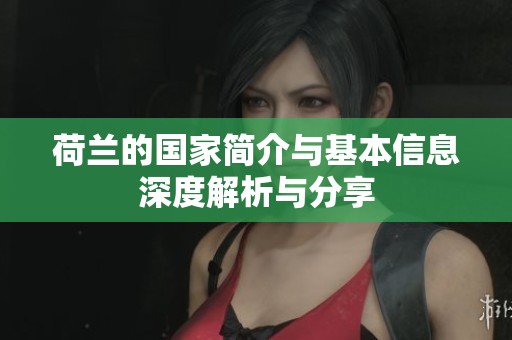 荷兰的国家简介与基本信息深度解析与分享