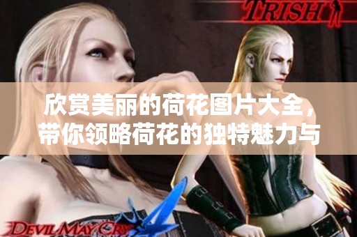 欣赏美丽的荷花图片大全，带你领略荷花的独特魅力与风采
