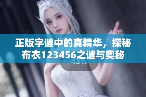正版**中的真精华，探秘布衣123456之谜与奥秘