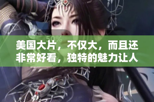 美国大片，不仅大，而且还非常好看，独特的魅力让人无法抗拒。