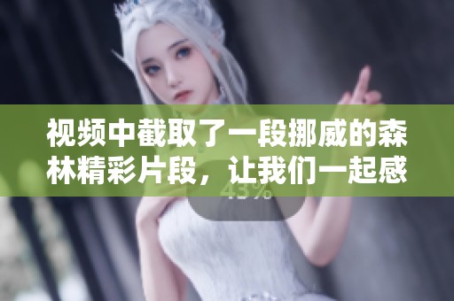 视频中截取了一段挪威的森林精彩片段，让我们一起感受这部作品的魅力吧
