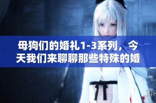 母狗们的婚礼1-3系列，今天我们来聊聊那些特殊的婚礼故事