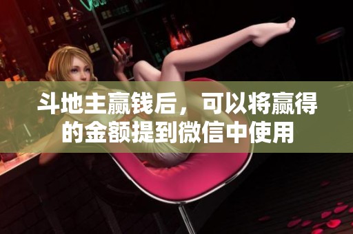 ***赢钱后，可以将赢得的金额提到微信中使用