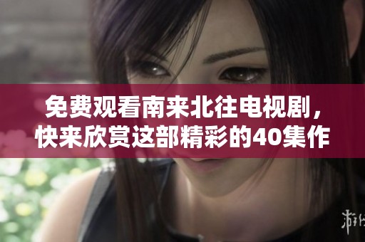 免费观看南来北往电视剧，快来欣赏这部精彩的40集作品！